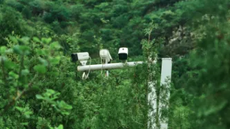 Three CCTV cameras in lush green trees